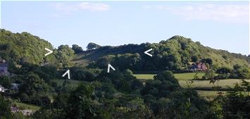 a June photo, taken looking southeast. The arrows show the extent of our holding
