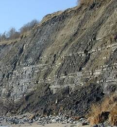 photo of landslip taken at Lyme in early January 2001