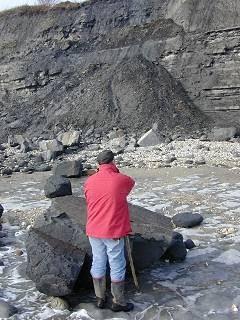 photo of landslip taken at Lyme in mid-February 2001