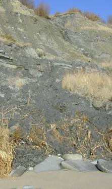 photo of mud flow taken at Lyme in early January 2001