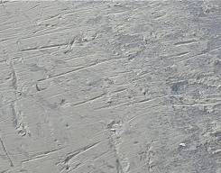 photo of boulder with possible slickensides