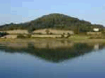image with overall blue cast