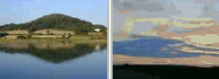 photos with different subjects but the same palette applied to both
