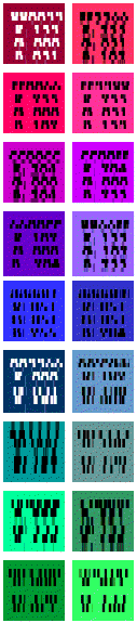 part of image showing increasing resolution as interlacing proceeds: 1st and 2nd passes